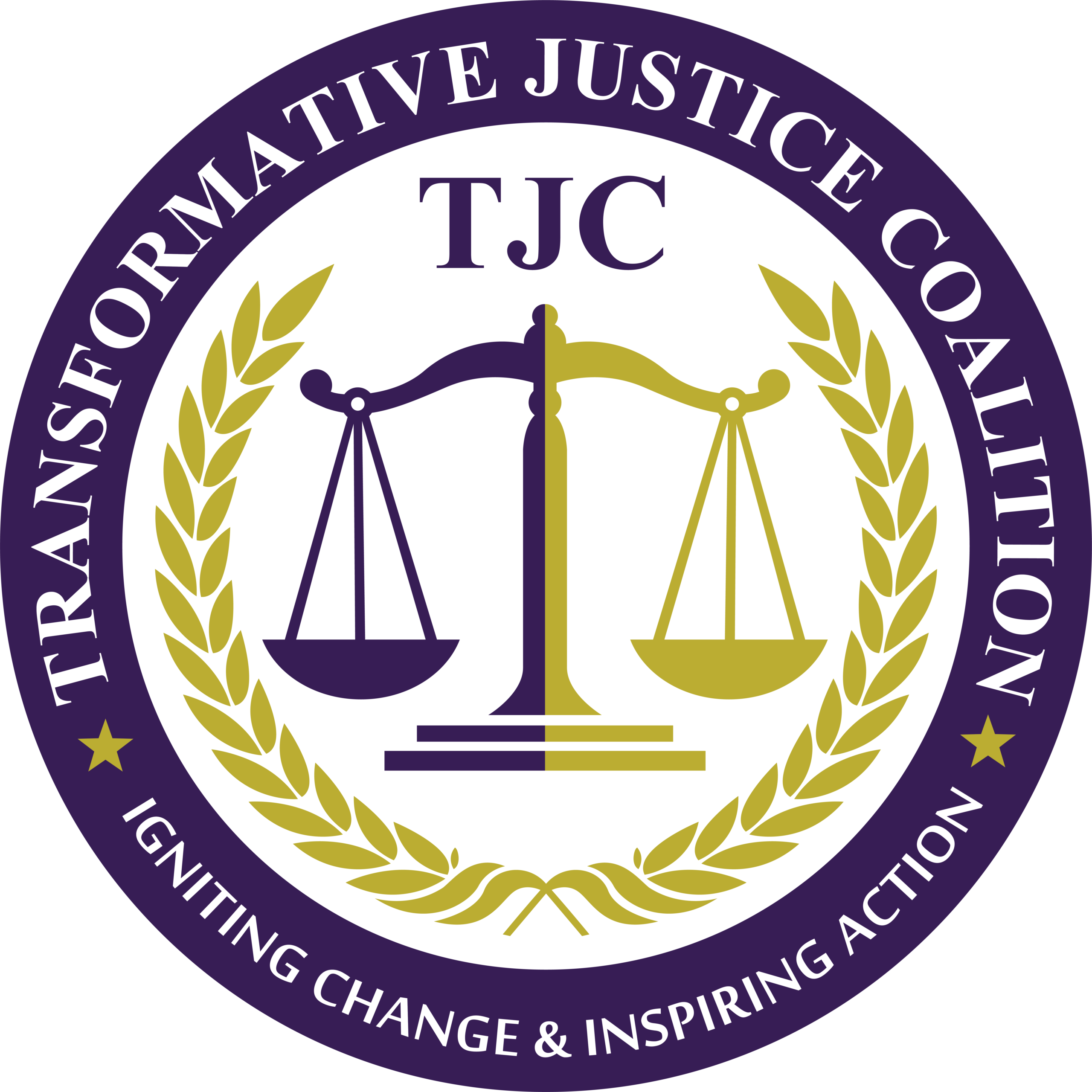 Transformative Justice Coalition